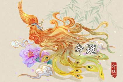 择吉老黄历_择吉黄历每日宜忌_择吉老皇历